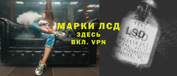 ALPHA PVP Богородицк